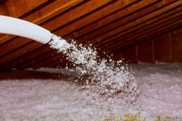 Best Cellulose Insulation  in Walker Valley, NY