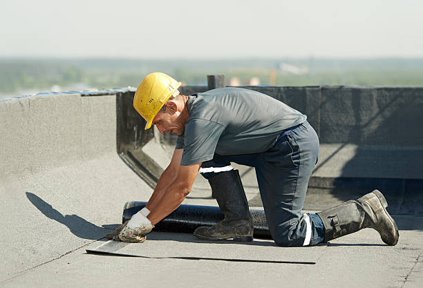 Best Energy-efficient Insulation  in Walker Valley, NY