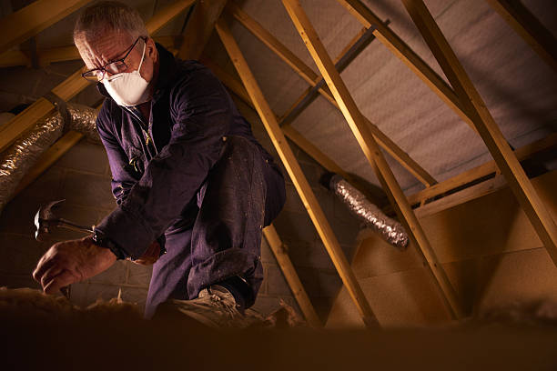 Best Insulation Replacement Services  in Walker Valley, NY